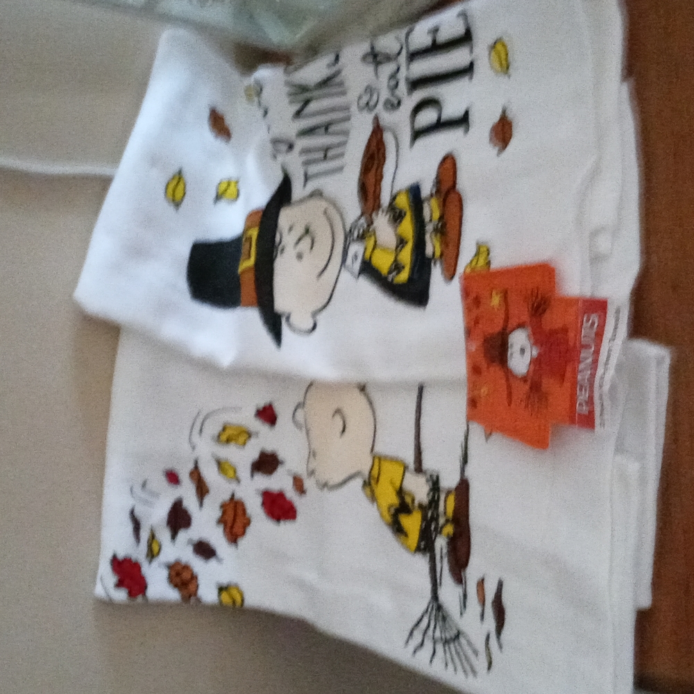 Charlie Brown kitchen towels